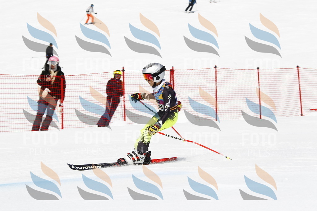 _U3G4938 | holidayphoto