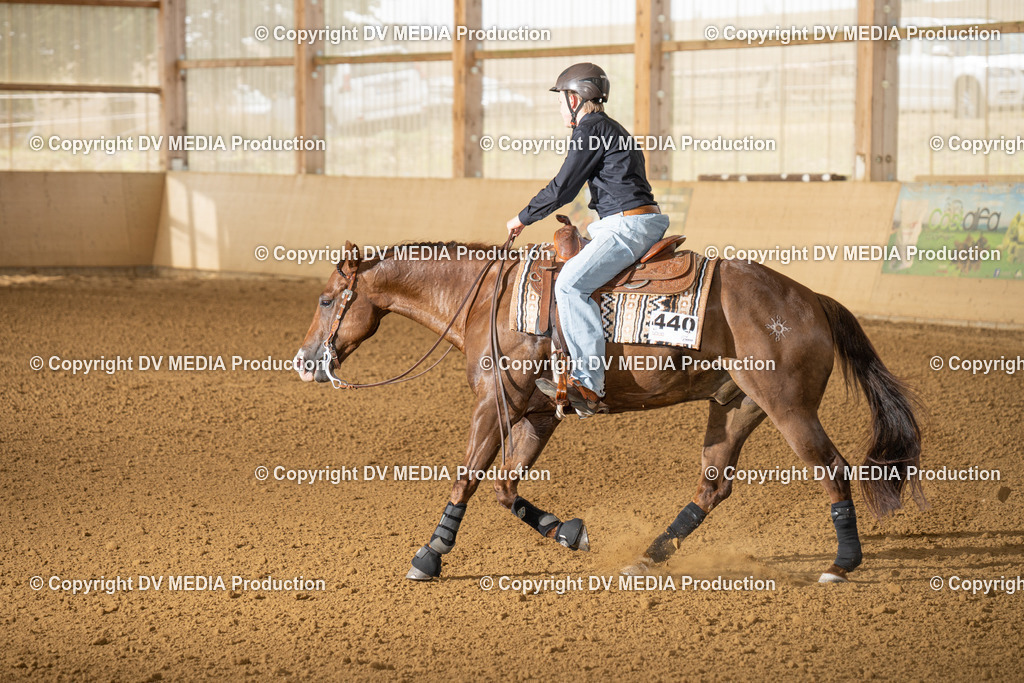 LAU01668 | dv-media-shop - Realisiert mit Pictrs.com