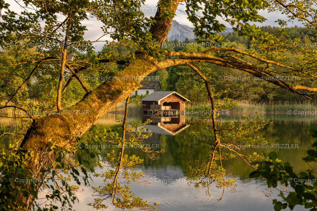 Höglwörther See | medienkrizzler - Realisiert mit Pictrs.com