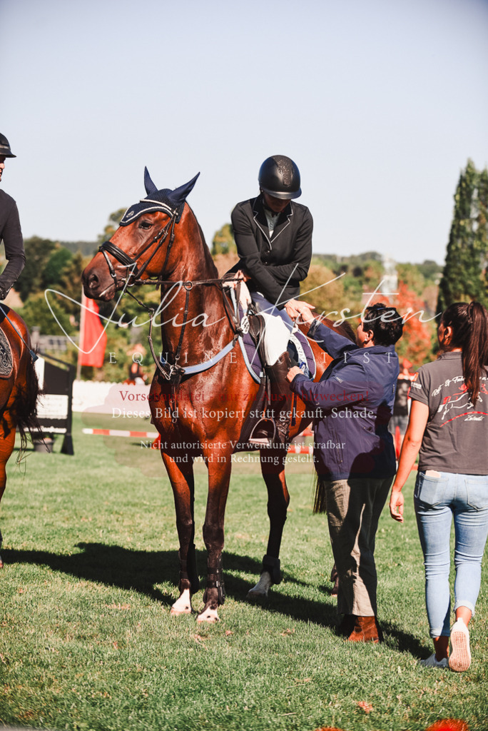 DSC_2306 | Pferde- und Turnierfotografie in Westsachsen. Pferdeportraits, Auftragszeichnungen und intuitive Kunst.