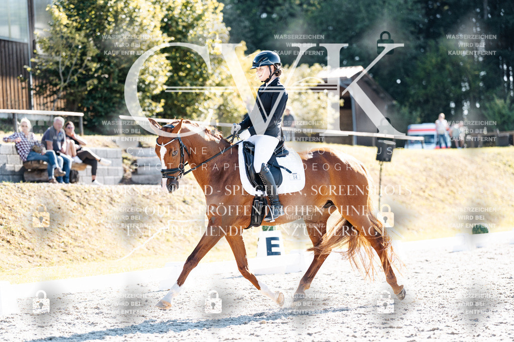 CK906062 | Turnierfotografie Pferdefotografie Trier Rheinland-Pfalz Pferdesport Reitsport Tierfotografie Sportfotografie Pferdevideo Pferdevideografie Equestrianvideography equestrianphotography  - Realisiert mit Pictrs.com