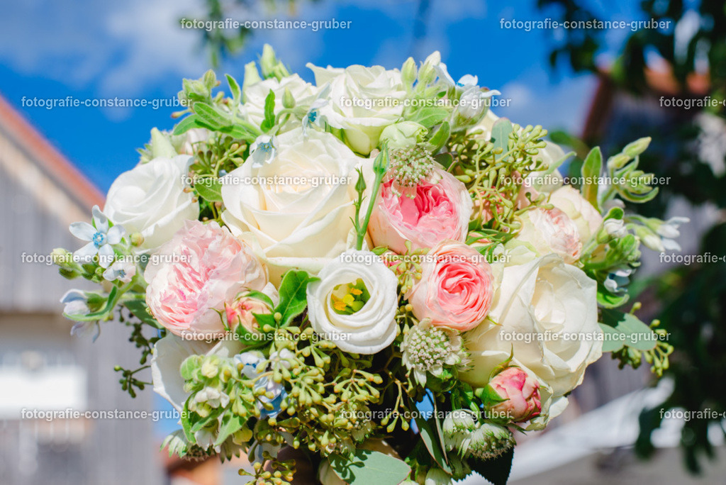 1017 | Fotografie Constance Gruber - Realisiert mit Pictrs.com