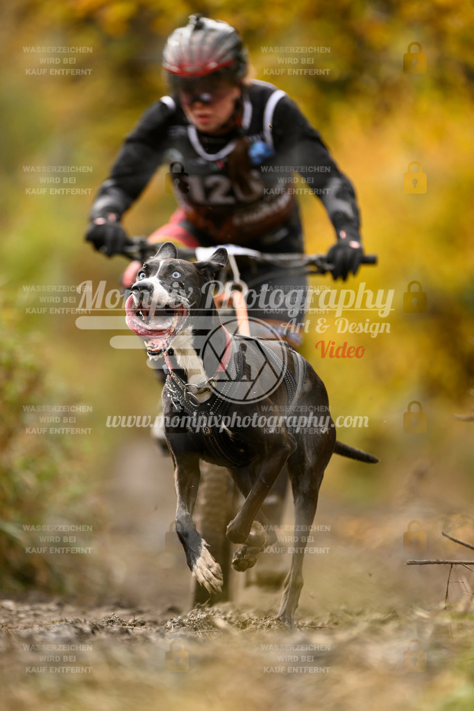 MompixPhotography_ICF_WC_2024_SA_Bike_-114 | PayLife