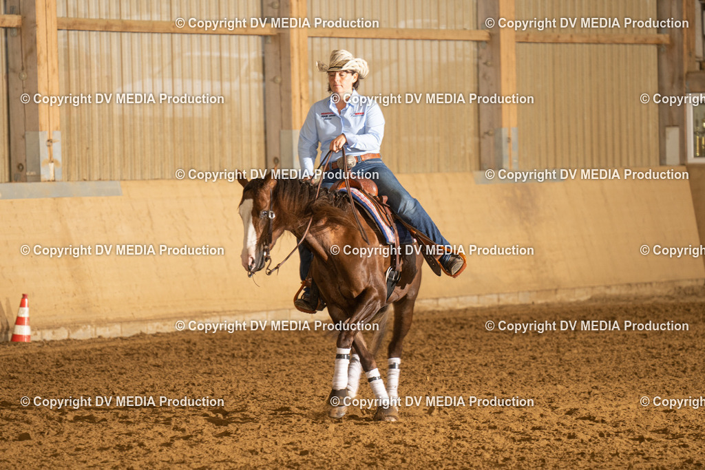 LAU00266 | dv-media-shop - Realisiert mit Pictrs.com