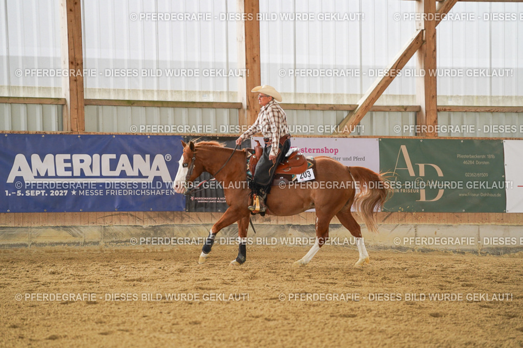 DSC04107 | Pferdegrafie