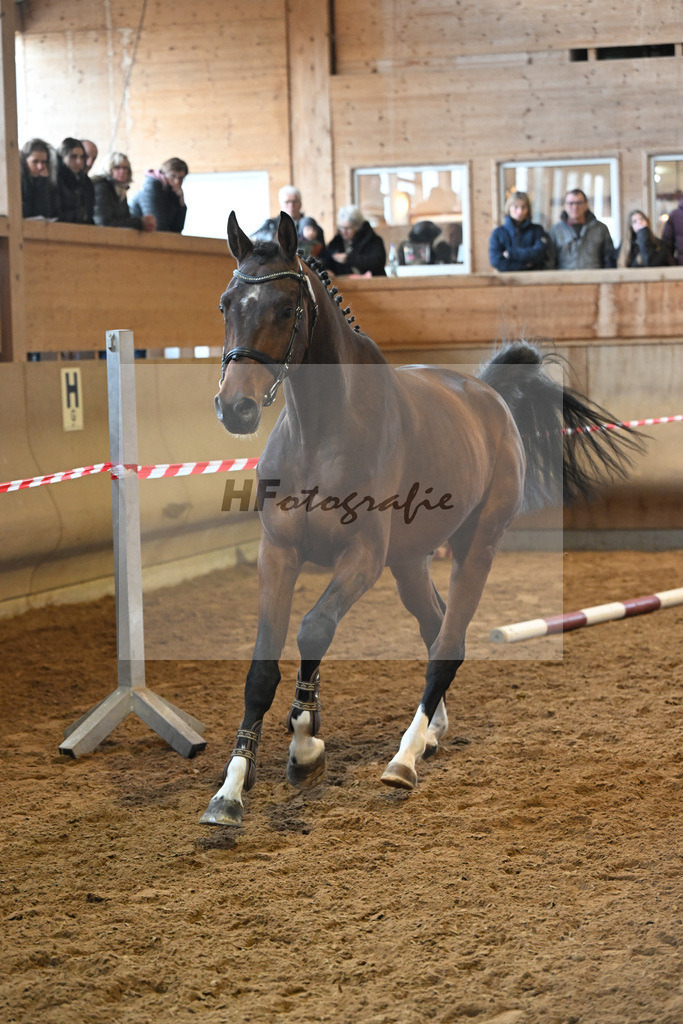 Kat-Nr. 38 Chepino v. Chezarro_Mueller_16250952 | hf-fotografie - Realisiert mit Pictrs.com