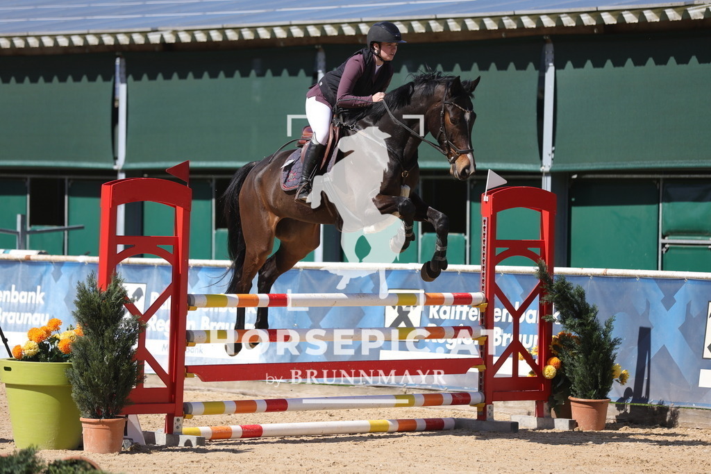 0P6A8694 | Willkommen bei Brunnmayr - Design & Fotografie – Ihrem Spezialisten für Reitturniere und Pferdeveranstaltungen in Oberösterreich, Salzburg und Bayern! Seit über 17 Jahren sind wir leidenschaftlich dabei.