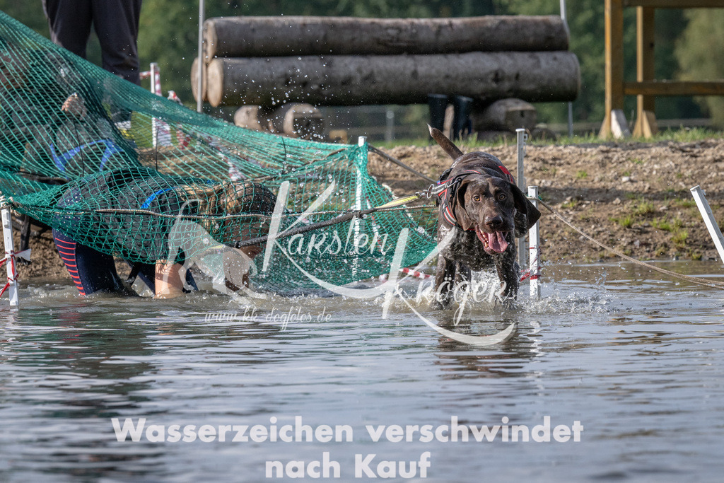 1153_ZZ94491 | kk-dogfotos