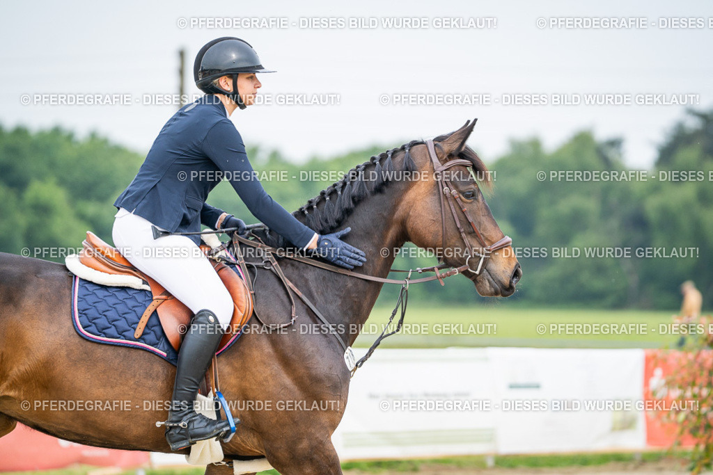 DSC09201 | Pferdegrafie