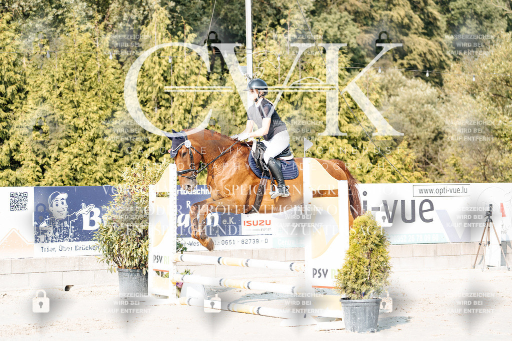 CK902824 | Turnierfotografie Pferdefotografie Trier Rheinland-Pfalz Pferdesport Reitsport Tierfotografie Sportfotografie Pferdevideo Pferdevideografie Equestrianvideography equestrianphotography  - Realisiert mit Pictrs.com
