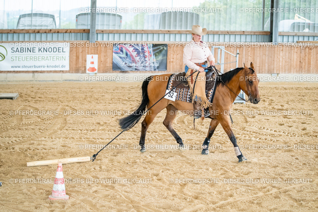 DSC07343 | Pferdegrafie