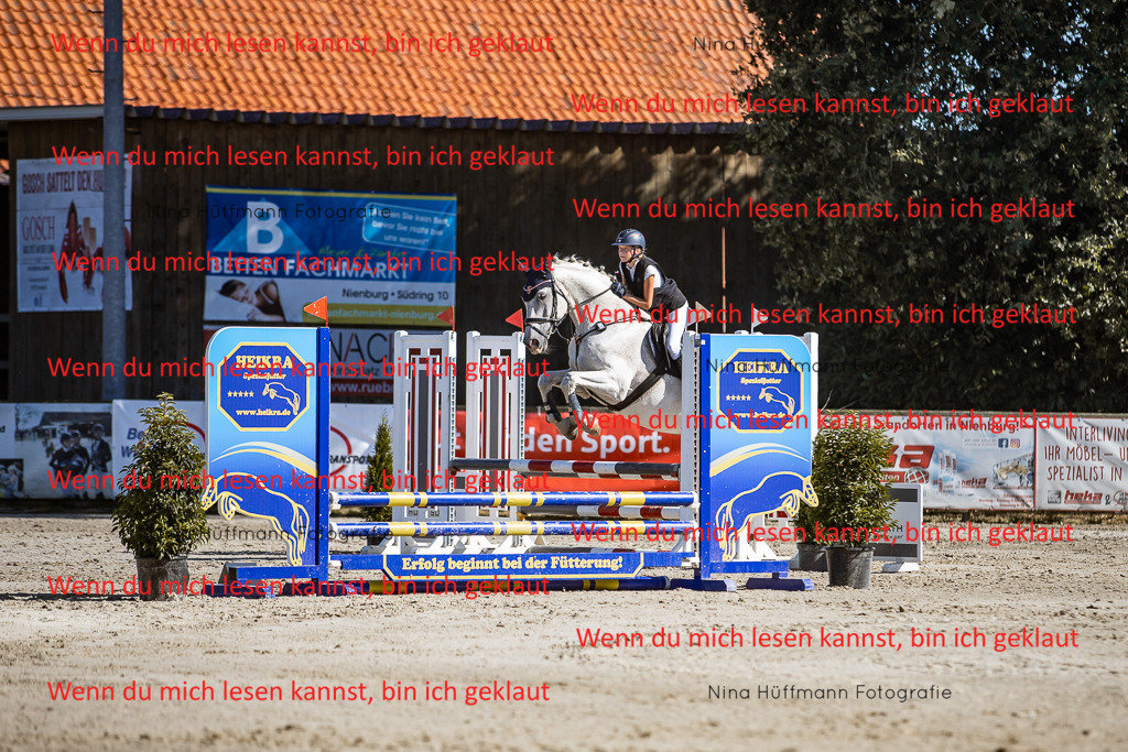 BK1A7963 | Turnierbilder Turnierfotos Nina Hüffmann Turnierfotografie Pferdefotografie Tierzeichnung Haustierzeichnung Pferdezeichnung Hundezeichnung Videograf  - Realisiert mit Pictrs.com