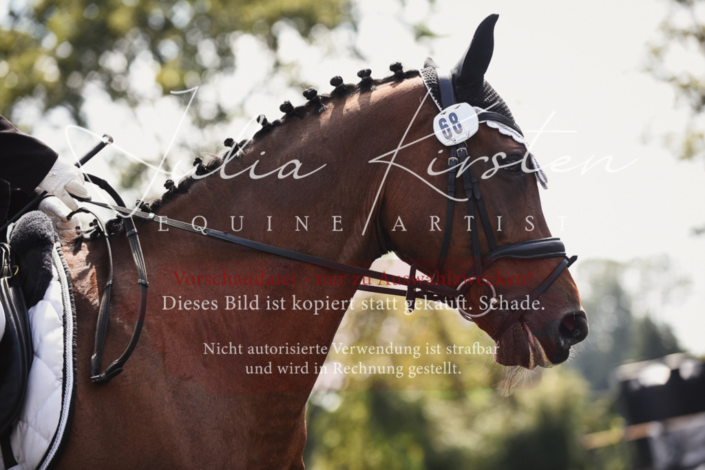 DSC_4171 | Pferde- und Turnierfotografie in Westsachsen. Pferdeportraits, Auftragszeichnungen und intuitive Kunst.