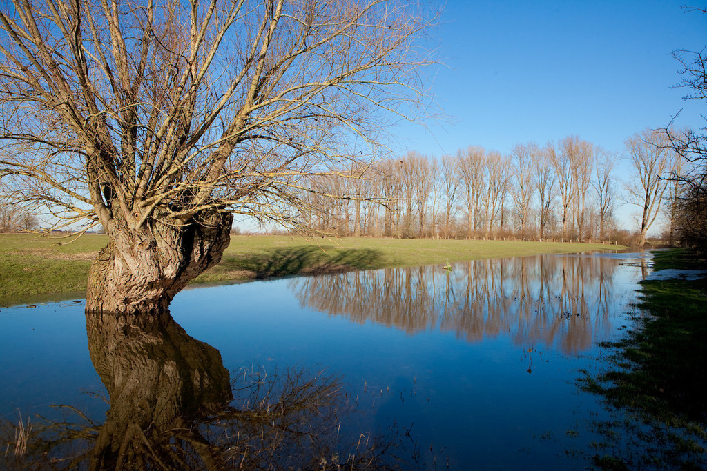 210221-134 | Europa, DEU, Deutschland, Nordrhein-Westfalen, Niederrhein, Kleve-Schenkenschanz, Naturschutzgebiet Salmorth, Typische Landschaft, Baeume, Typische Kopfweide, Pappeln, Natur, Umwelt, Landschaft, Jahreszeiten, Stimmungen, Landschaftsfotografie, Landschaften, Landschaftsphoto, Landschaftsphotographie, Wetter, Wetterelemente, Wetterlage, Wetterkunde, Witterung, Witterungsbedingungen, Wettererscheinungen, Meteorologie, Wettervorhersage, Das Naturschutzgebiet Salmorth erstreckt sich im Norden des Kreises Kleve von Griethausen bis an die niederlaendische Grenze.

[Fuer die Nutzung gelten die jeweils gueltigen Allgemeinen Liefer-und Geschaeftsbedingungen. Nutzung nur gegen Verwendungsmeldung und Nachweis. Download der AGB unter http://www.image-box.com oder werden auf Anfrage zugesendet. Freigabe ist vorher erforderlich. Jede Nutzung des Fotos ist honorarpflichtig gemaess derzeit gueltiger MFM Liste - Kontakt, Uwe Schmid-Fotografie, Duisburg, Tel. (+49).2065.677997, ..archiv@image-box.com, www.image-box.com] - Realisiert mit Pictrs.com