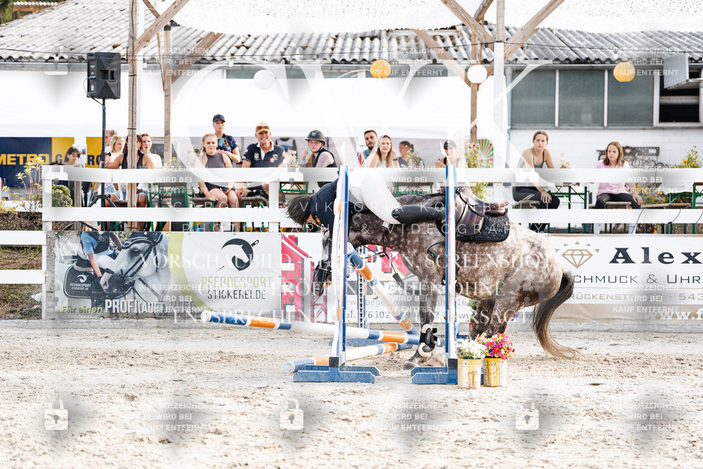 CK907028 | Turnierfotografie Pferdefotografie Trier Rheinland-Pfalz Pferdesport Reitsport Tierfotografie Sportfotografie Pferdevideo Pferdevideografie Equestrianvideography equestrianphotography  - Realisiert mit Pictrs.com