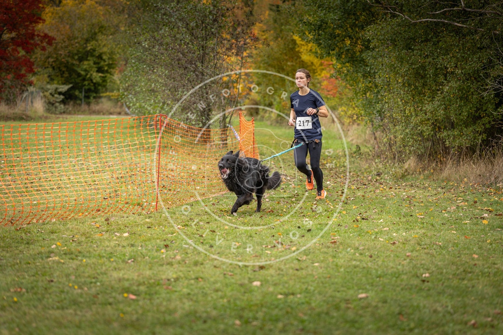 Pfotenfotografie_DV3A4767 | Hundefotografie, Tierfotograf, Pfotenfotografie, Fotoshooting Hund, Hunde Portrait, Hundesport, Hundeportraits, Heideshooting, Hunde, Sportfotograf, Hundefotograf, Turnierhundsport, THS,  - Realisiert mit Pictrs.com