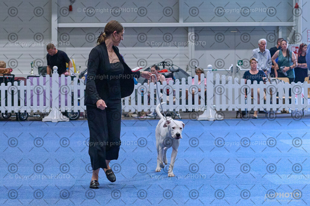 202406_ÖKV-IHA-Tulln24_DSC_3622 | proPHOTO - Realisiert mit Pictrs.com