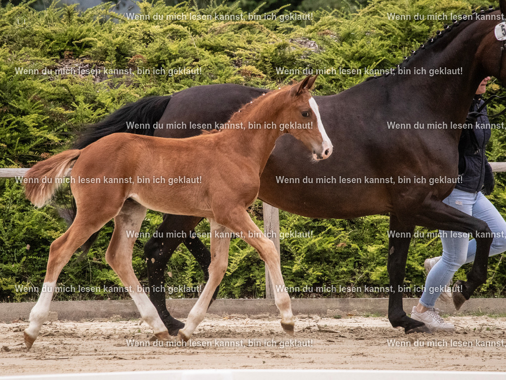 A10I9823 | photographylinaismer - Realisiert mit Pictrs.com