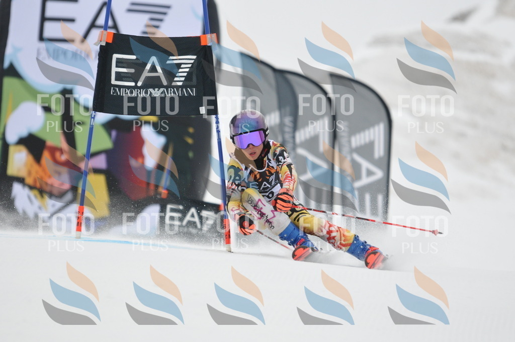 DSC_7829 | holidayphoto