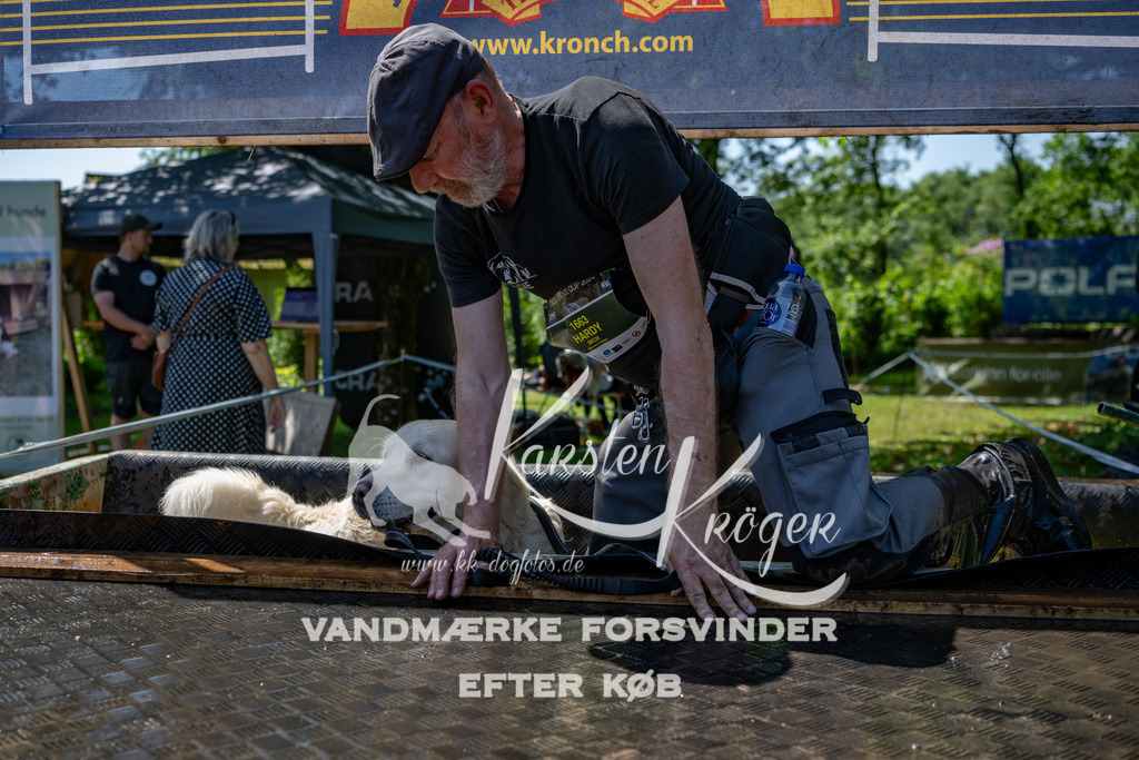 1251_ZZ90201 | kk-dogfotos