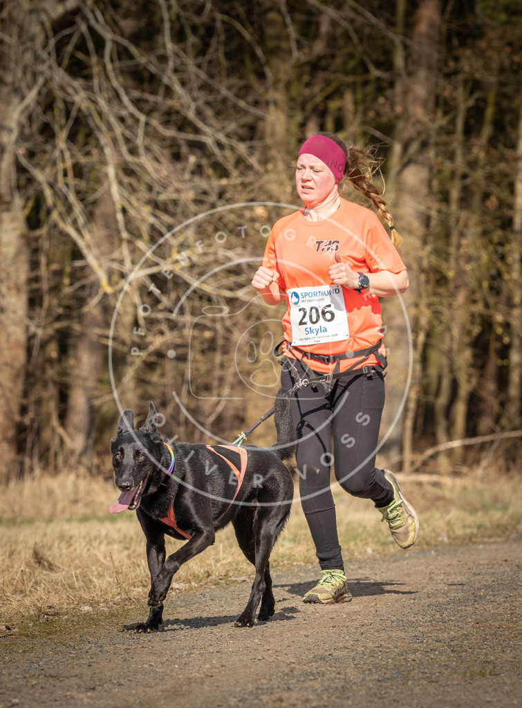 DV3A5824 | Hundefotografie, Tierfotograf, Pfotenfotografie, Fotoshooting Hund, Hunde Portrait, Hundesport, Hundeportraits, Heideshooting, Hunde, Sportfotograf, Hundefotograf, Turnierhundsport, THS,  - Realisiert mit Pictrs.com