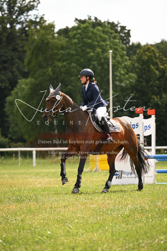 DSC_9132 | Pferde- und Turnierfotografie in Westsachsen. Pferdeportraits, Auftragszeichnungen und intuitive Kunst.