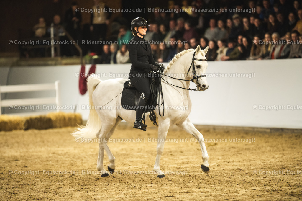20240302_Hengstvorstellung_Marbach_TOMsPiC_1089-2 | equistock