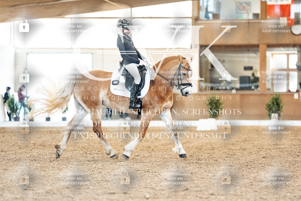 CK907384 | Turnierfotografie Pferdefotografie Trier Rheinland-Pfalz Pferdesport Reitsport Tierfotografie Sportfotografie Pferdevideo Pferdevideografie Equestrianvideography equestrianphotography  - Realized with Pictrs.com