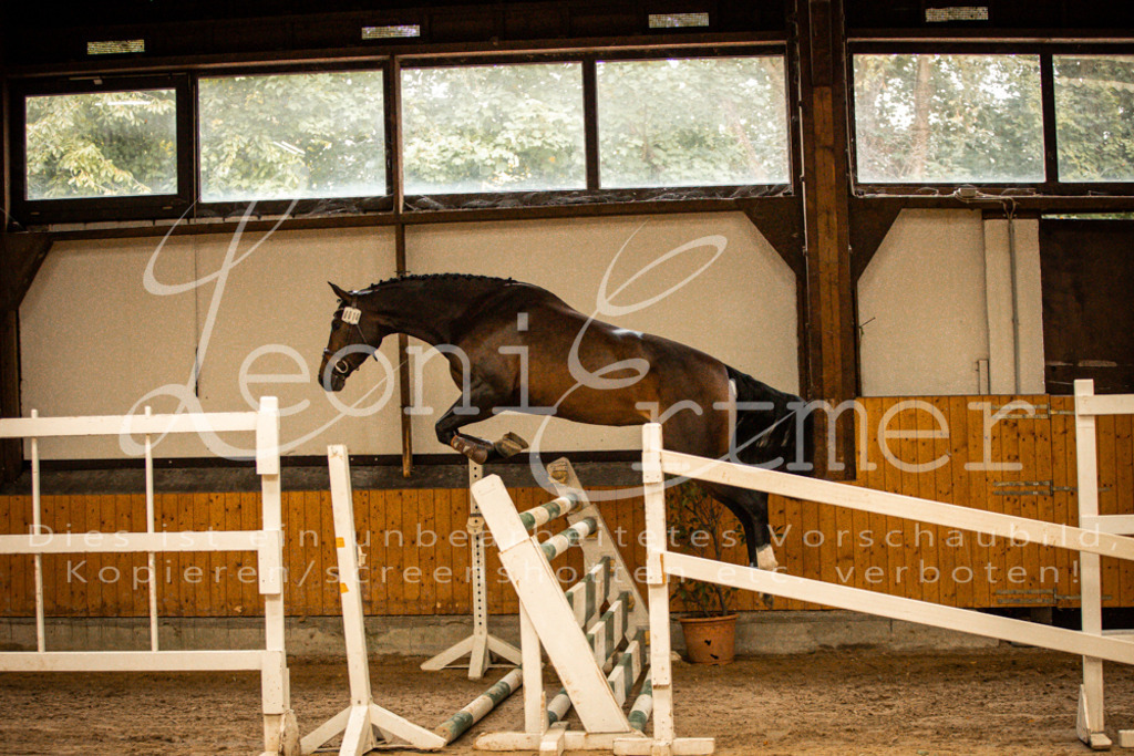 2FS_L00005 | Leoni Ertmer Photography - Realisiert mit Pictrs.com