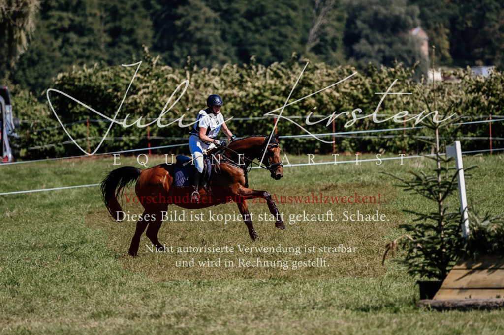 DSC_2002 | Pferde- und Turnierfotografie in Westsachsen. Pferdeportraits, Auftragszeichnungen und intuitive Kunst.