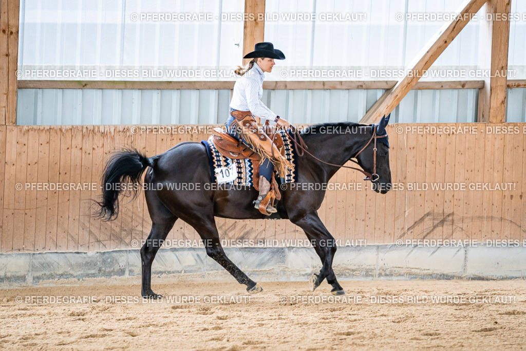 DSC08289 | Pferdegrafie