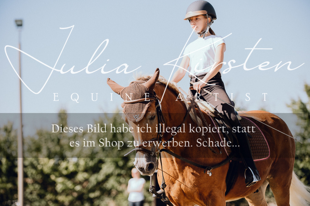 DSC_7220 | Pferde- und Turnierfotografie in Westsachsen. Pferdeportraits, Auftragszeichnungen und intuitive Kunst.