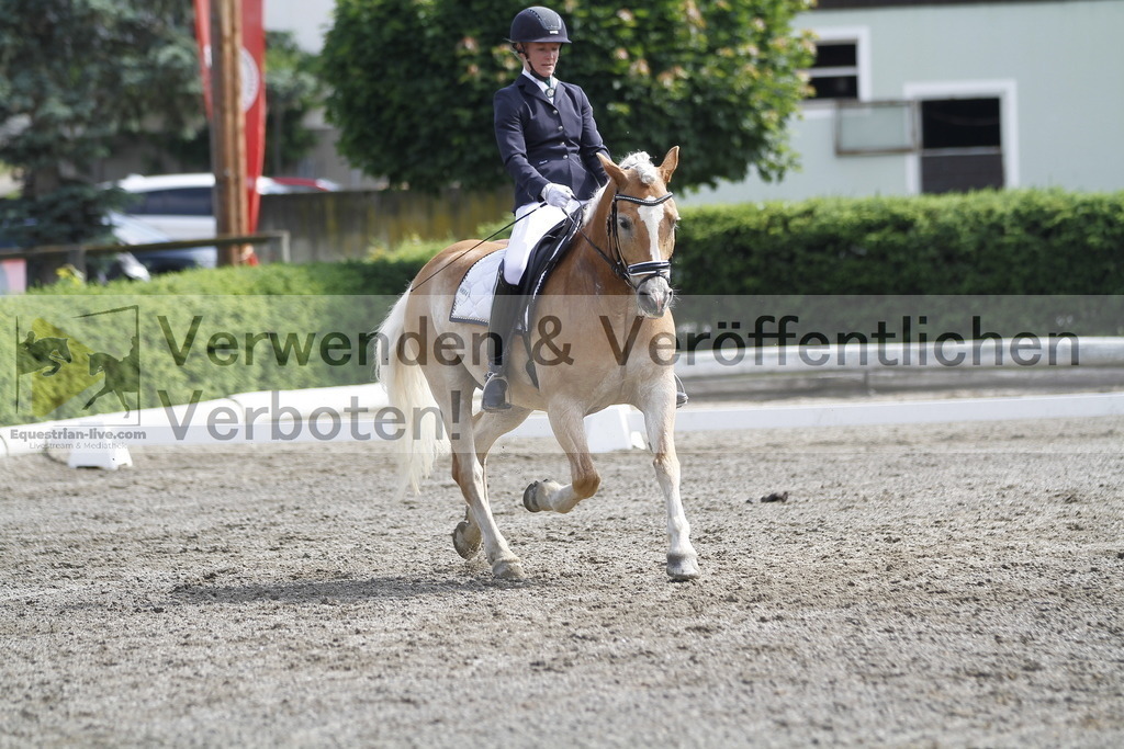 _MG_9668 | equestrian-live-com