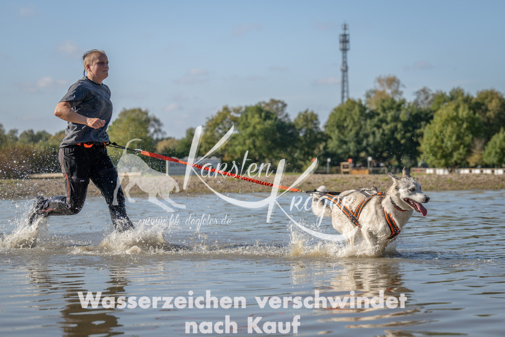 1351_ZZ91499 | kk-dogfotos