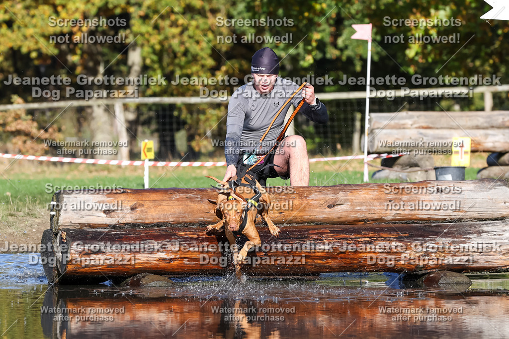 Dog Paparazzi - Strongdog 10-25-8893 | Dog Paparazzi Jeanette Grottendiek Fotografie & Videografie - Realisiert mit Pictrs.com