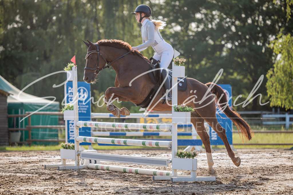 20260529-_3LI0767 | Tierfotografie Pferde, Hunde, Katzen, Haustiere.
Turnierfotografie Reitturniere, Reiten, Springreiten, Dressur in Hanau, dem Main-Kinzig-Kreis und dem Rhein-Main- Gebiet um Frankfurt
