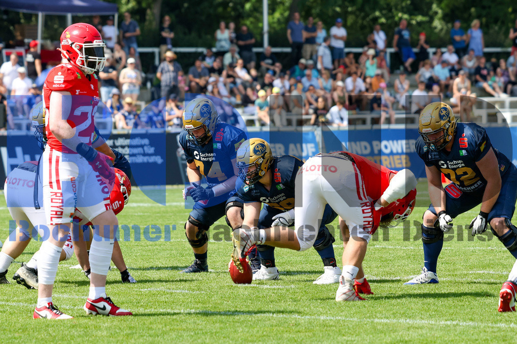 GFL: Potsdam Royals vs. Dresden Monarchs{date} -  | {headline}(Foto: Thomas Sobotzki / BOND) - Realisiert mit Pictrs.com
