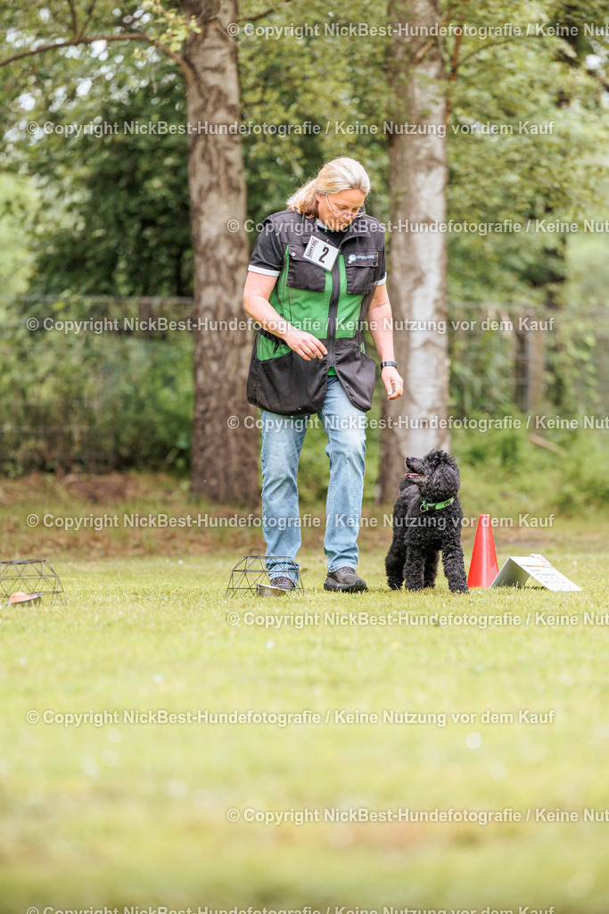 RO-Blumenthal-2026-Nickbest-Hundefotografie-1639 | Dein Hund! Dein Moment! Deine Erinnerungen! Hundefotografie in Bremen Blumenthal. Ich fange die besonderen Momente deines Vierbeiners ein – ob Indoor mit Blitzanlage oder in der freien Natur. Sicher dir dein Moment und dein Termin für eure Erinnerungen.