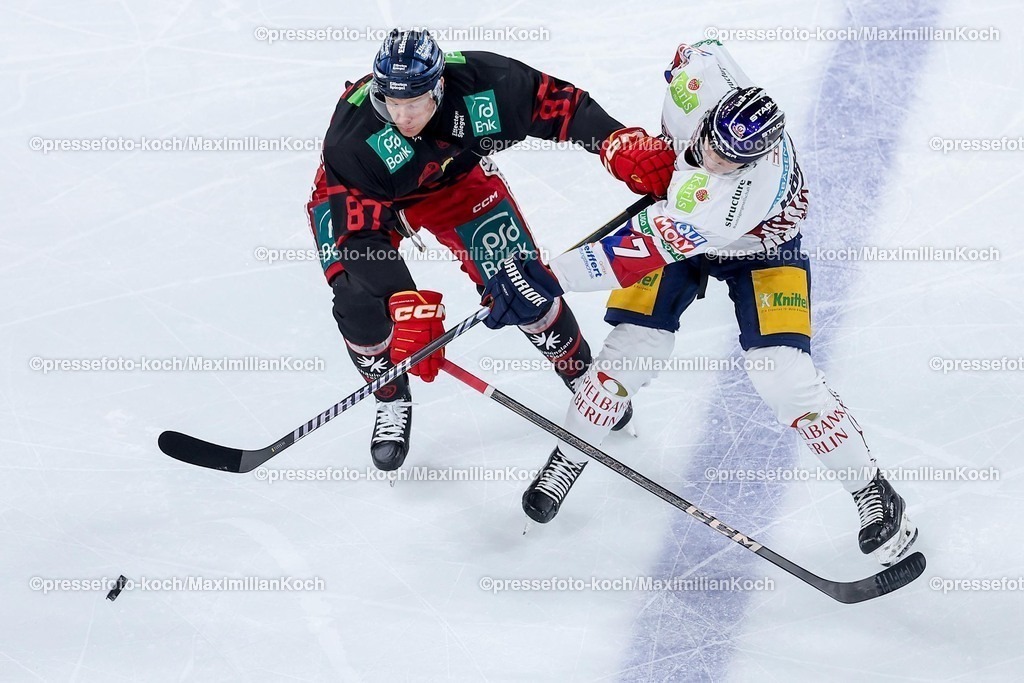 DEG12012501002 | 12.01.2025, Eishockey, Penny DEL, Düsseldorfer EG - Eisbären Berlin, PSD-BANK Dome: Philip Gogulla (DEG #87) im Zweikampf gegen Eric Hördler (Eisbären Berlin #77)