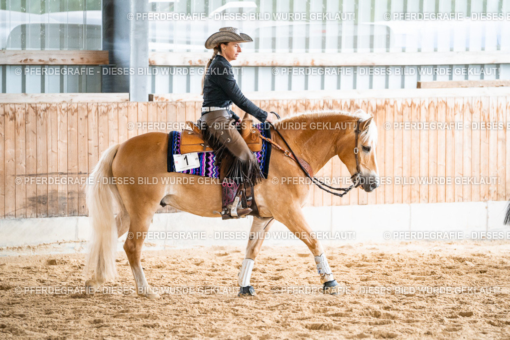 DSC01080 | Pferdegrafie