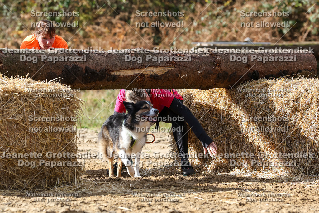 Dog Paparazzi - Strongdog 10-25-4999 | Dog Paparazzi Jeanette Grottendiek Fotografie & Videografie - Realisiert mit Pictrs.com