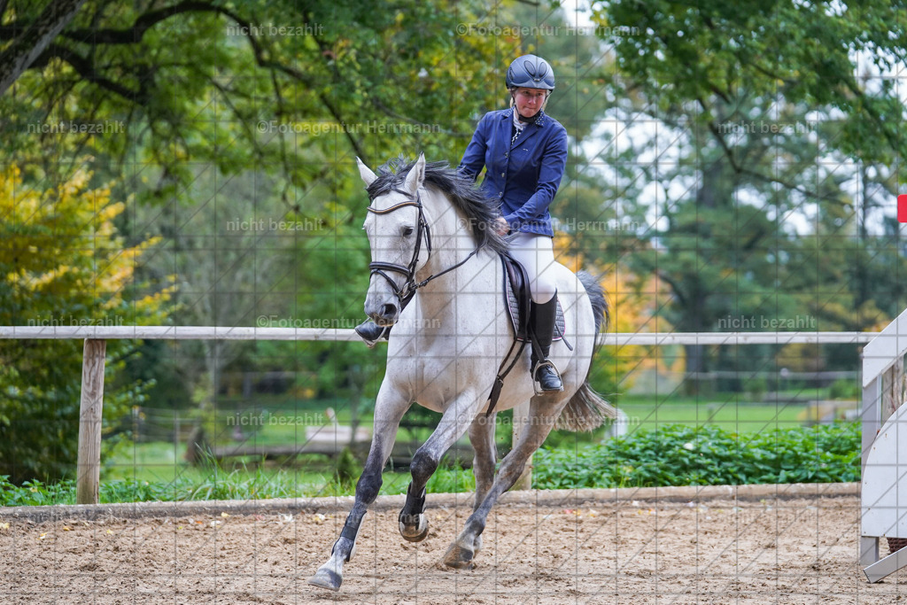 20221009-FAH08957 | Diessen am Ammersee, 2022, Dressur- und Springturnier, Reitsportbilder, Turnierfotografen Bayern, Pferdefotografen, Fotoagentur Herrmann, Turnierbilder