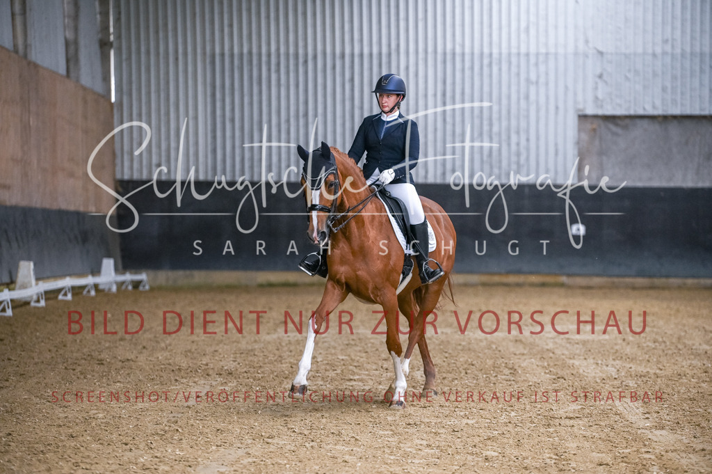 Schugtsche-Aluta25-56.Dressurprf.L1Kand.-132 | Schugtsche Fotografie - Realizzato con Pictrs.com