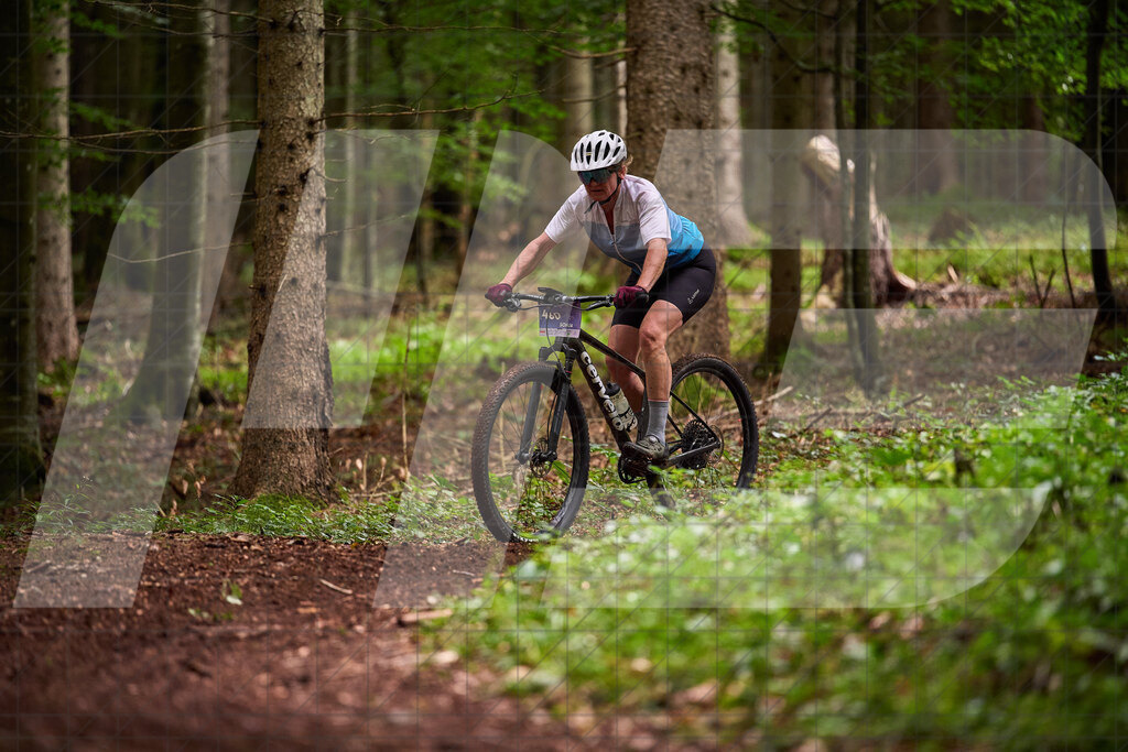 Betriebszentrum Laubenbachmühle, Frankenfels, Österreich - 13. September 2025: Dirndltal Race - Fun und Trophy RaceFotograf: Martin Bihounek / martinbihounek.com | 13. September 2025 Betriebszentrum Laubenbachmühle, Frankenfels, Österreich : Dirndltal Race - Fun und Trophy Race •••••Photo by: Martin Bihounek / martinbihounek.comInsta: @martinbihounekcom