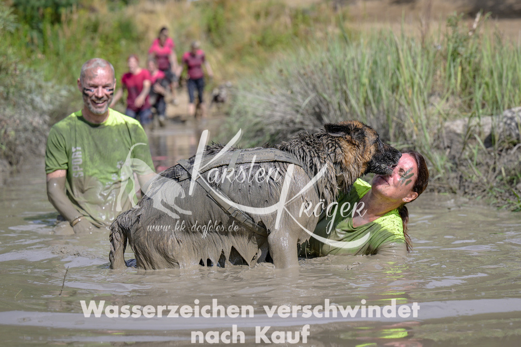 1619_ZZ95405 | kk-dogfotos