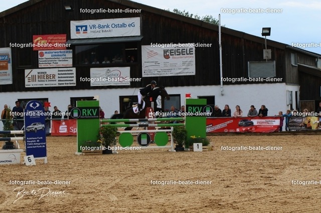 OHT1591 | Fotografie, Tiere, Hunde, Katzen, Pferde, Sportfotografie, Fotosession, Tierfotografie, Turnierfotografie, Fotografin, Fotograf - Realisiert mit Pictrs.com