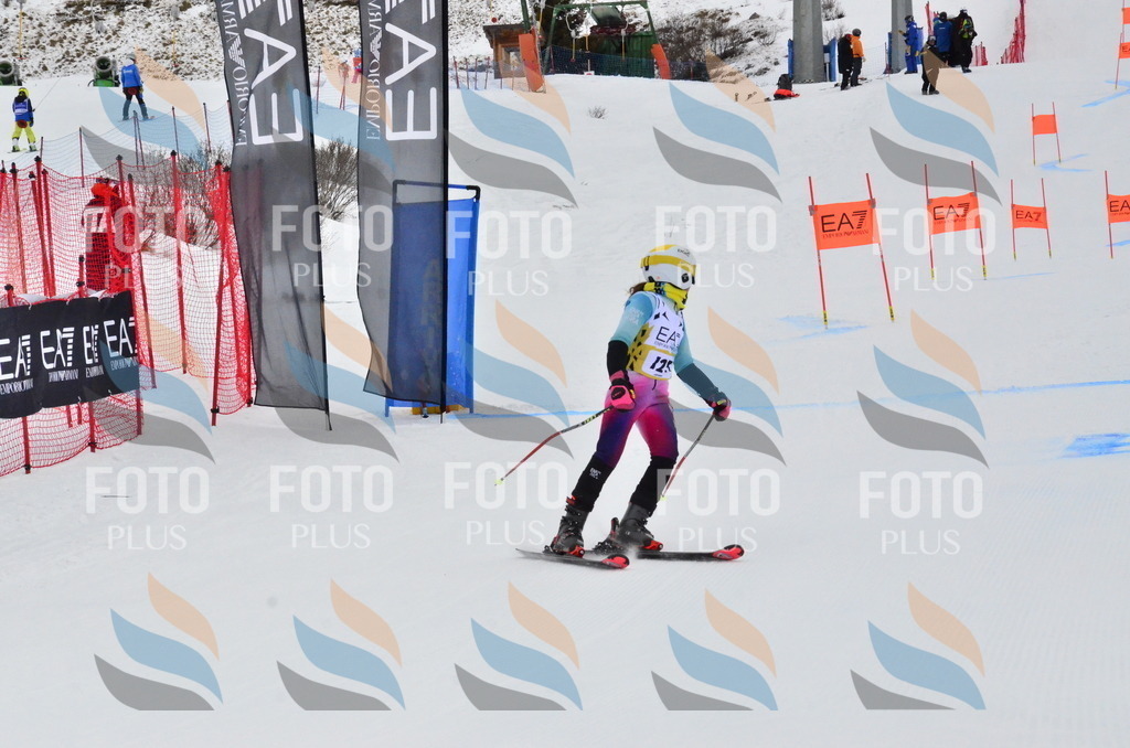 _ELE3675 | holidayphoto