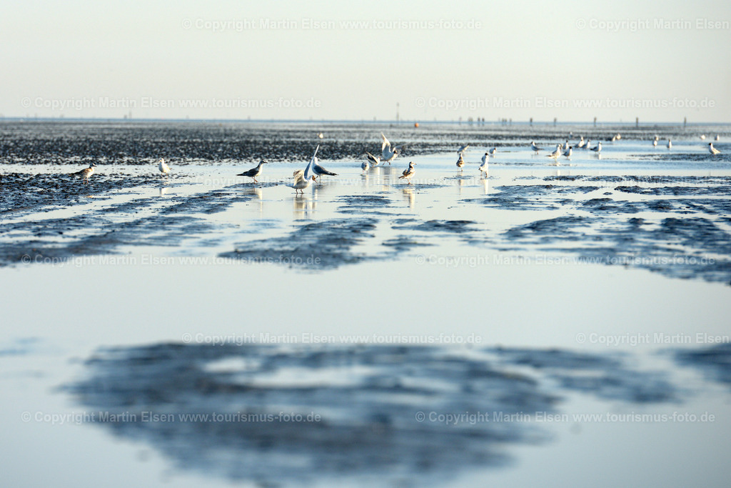 Cuxhaven_ELS_8225270716 | Fotos aus den Touristenorten aus Norddeutschland. - Realisiert mit Pictrs.com