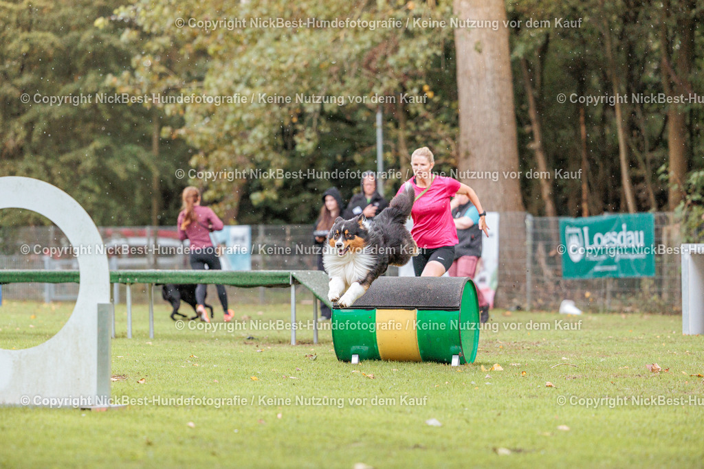 THS-HSV-Blumenthal-2026-Nickbest-Hundefotografie-4155 | Dein Hund! Dein Moment! Deine Erinnerungen! Hundefotografie in Bremen Blumenthal. Ich fange die besonderen Momente deines Vierbeiners ein – ob Indoor mit Blitzanlage oder in der freien Natur. Sicher dir dein Moment und dein Termin für eure Erinnerungen.