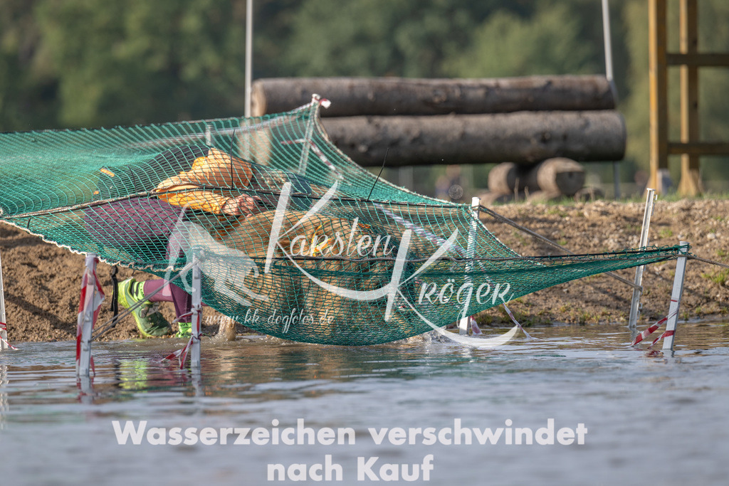 1032_ZZ93772 | kk-dogfotos